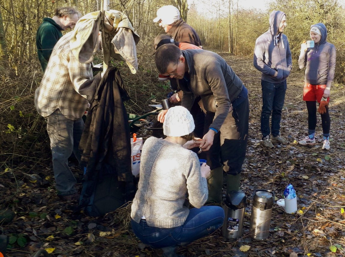 A photo depicticting the volunteer task day 