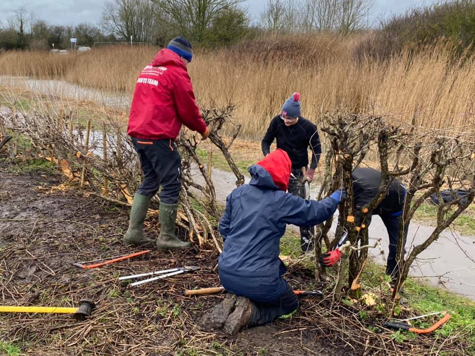 Volunteers hedge-laying along the Grantham Canal in the park