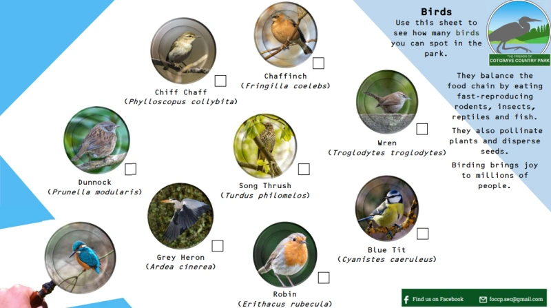 An example of our nature activity sheets